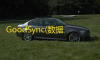 GoodSync(数据同步)